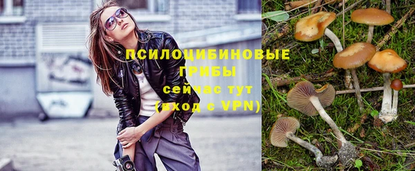 spice Новоуральск