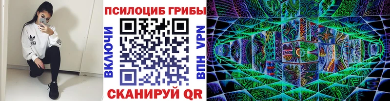 блэк спрут маркетплейс  Черкесск  Псилоцибиновые грибы GOLDEN TEACHER 
